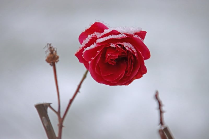Upcycled flower sculpture